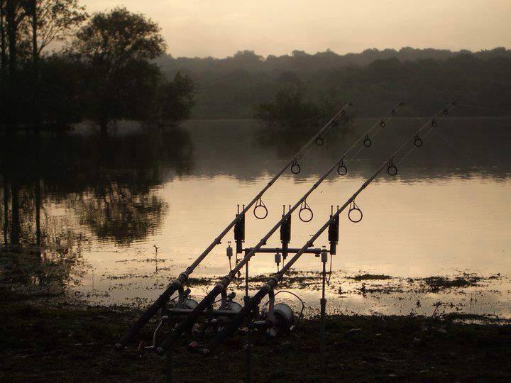 ::::::::LIKE:::::::: - 10110935447229355634791397438521n.jpg